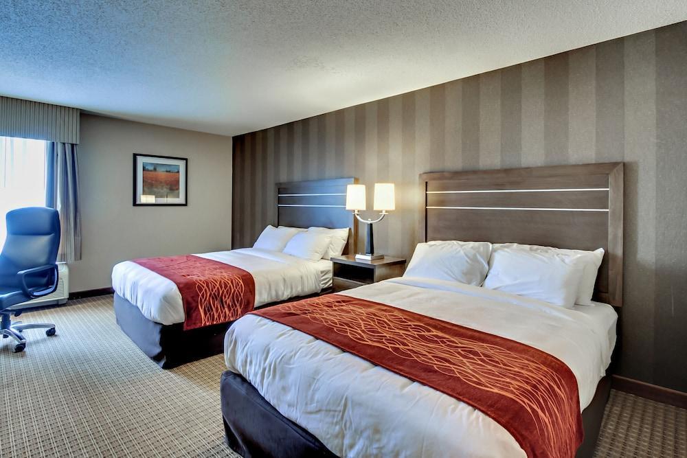 Quality Inn & Suites Bel Air I-95 Exit 77A المظهر الخارجي الصورة